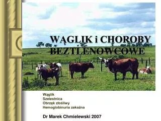 w glik i choroby beztlenowcowe