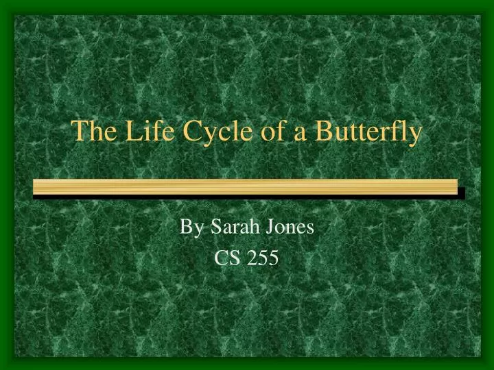 the life cycle of a butterfly