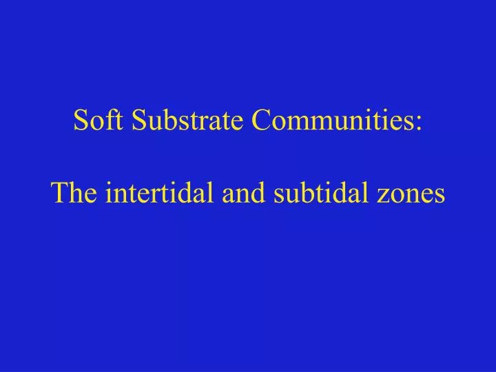 soft substrate communities the intertidal and subtidal zones