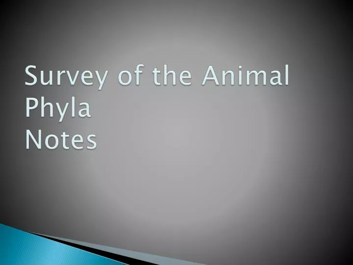 survey of the animal phyla notes