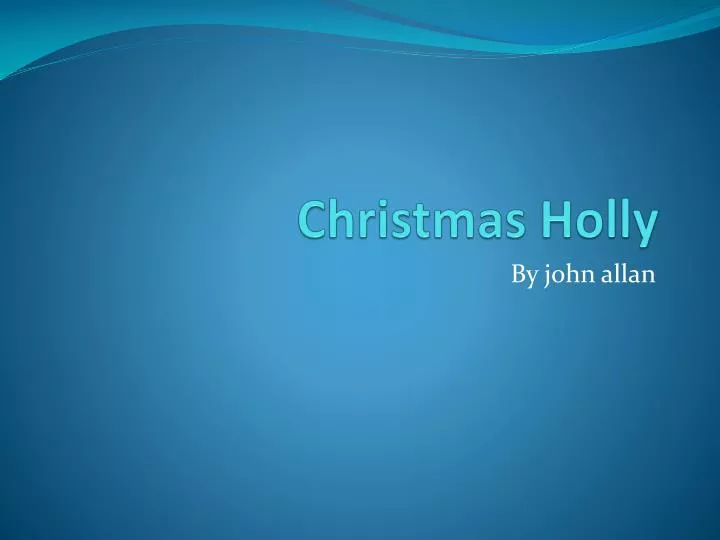 christmas holly