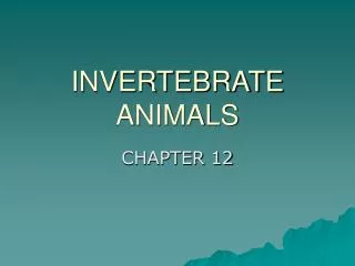 INVERTEBRATE ANIMALS