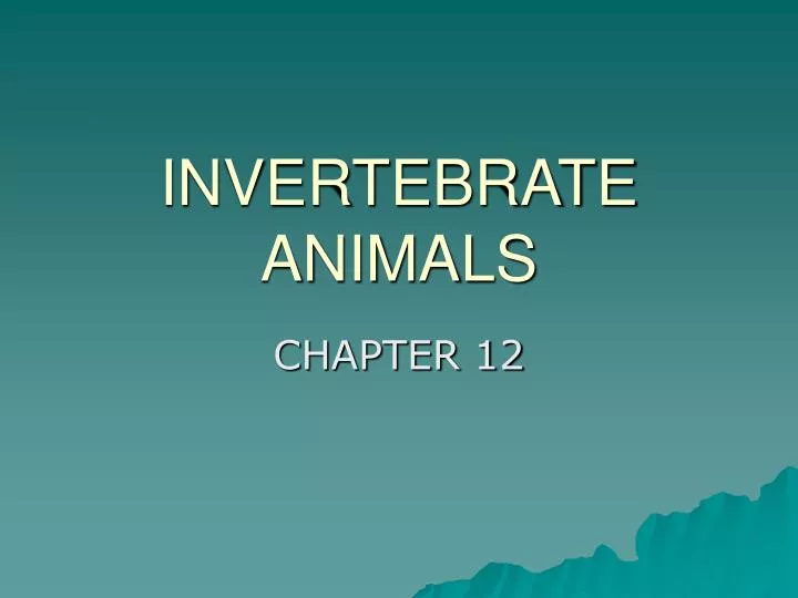 invertebrate animals