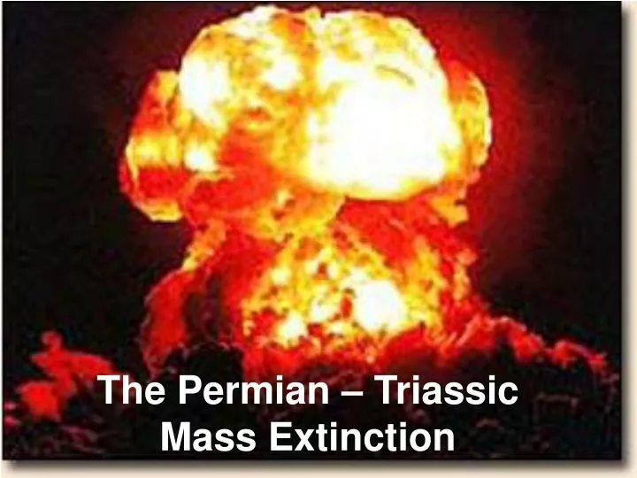 the permian triassic mass extinction