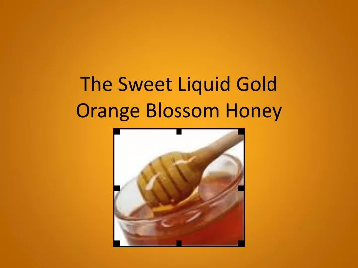 the sweet liquid gold orange blossom honey