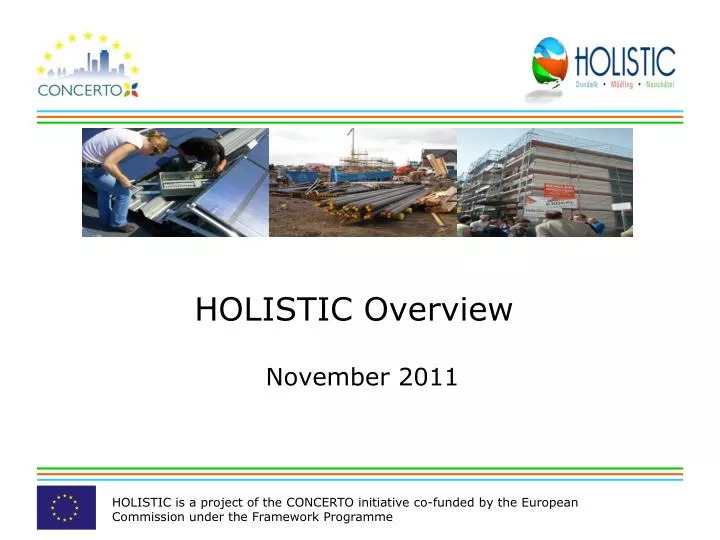 holistic overview