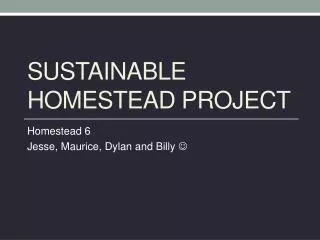 Sustainable Homestead project