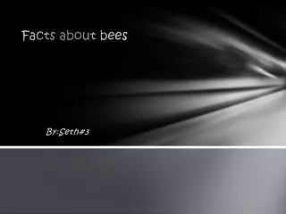 Facts about bees