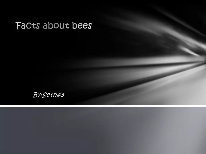 facts about bees