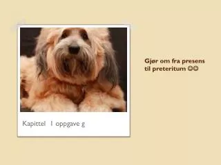 gj r om fra presens til preteritum