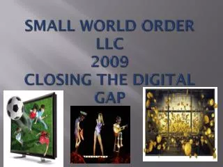 SMALL WORLD ORDER LLC 2009 Closing The Digital Gap