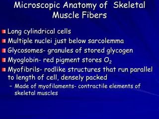 Microscopic Anatomy of Skeletal Muscle Fibers