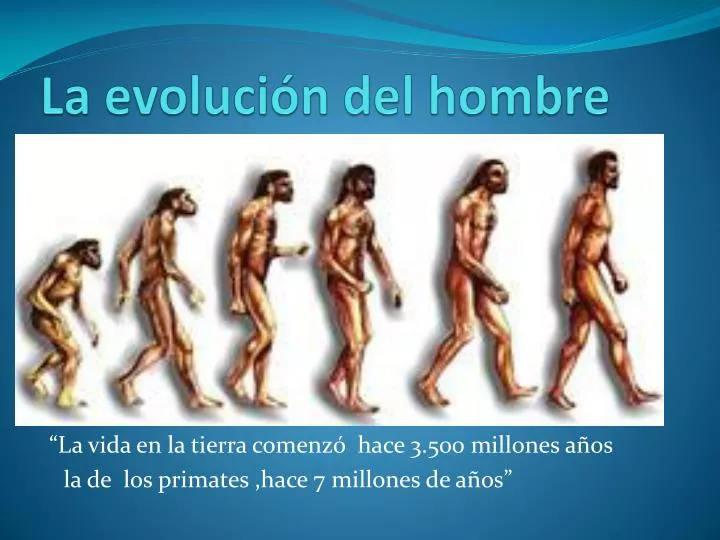 la evoluci n del hombre