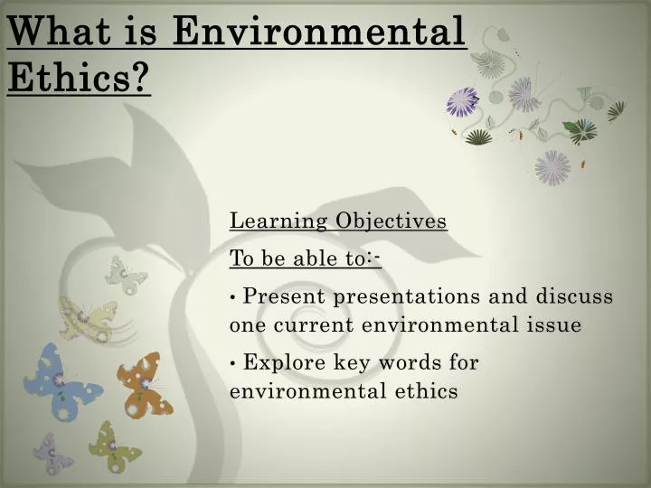 what is environmental ethics