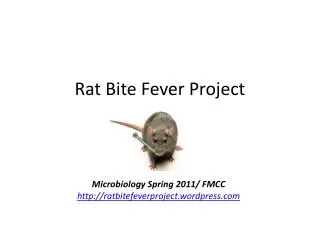 Rat Bite Fever Project