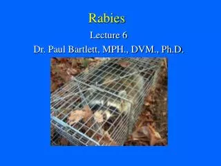 Rabies