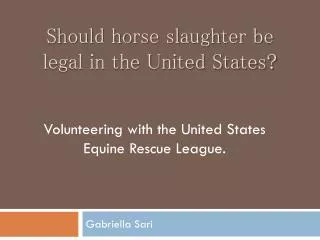 Should horse slaughter be legal in the United States?