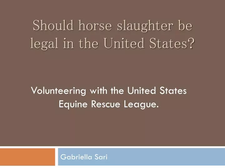 should horse slaughter be legal in the united states