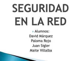seguridad en la red