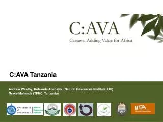 C:AVA Tanzania