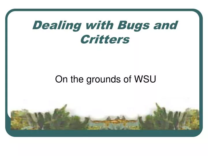 dealing with bugs and critters