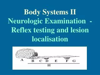 Body Systems II Neurologic Examination - Reflex testing and lesion localisation