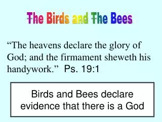 The Birds and The Bees