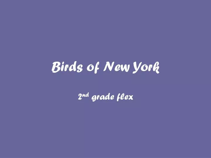 birds of new york