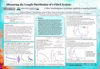 Measuring the Length Distribution of a Fibril System: