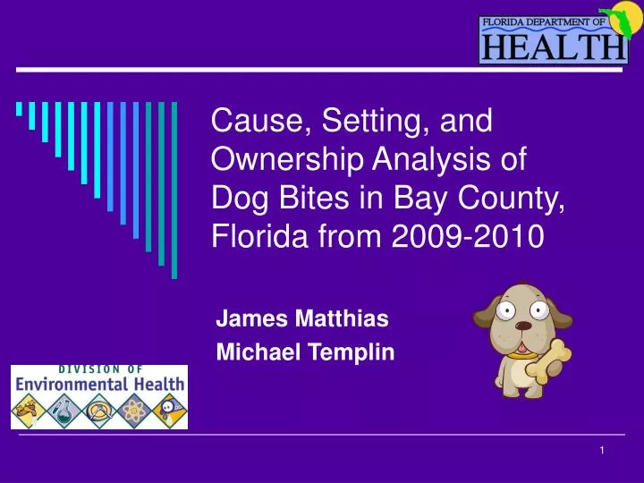 cause setting and ownership analysis of dog bites in bay county florida from 2009 2010