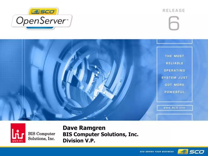 dave ramgren bis computer solutions inc division v p