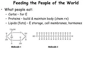 Feeding the People of the World