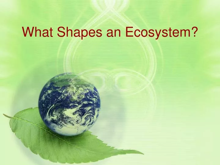 what shapes an ecosystem