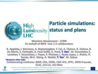 Particle simulations: status and plans