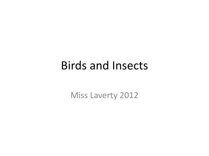 birds and insects