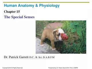 Human Anatomy &amp; Physiology