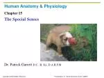 Human Anatomy &amp; Physiology - slide 1