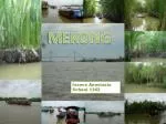 MEKONG - slide 1