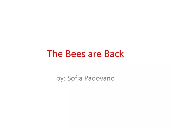 the bees are back
