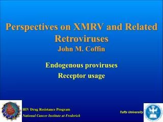 Perspectives on XMRV and Related Retroviruses John M. Coffin