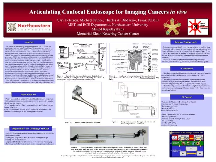 articulating confocal endoscope for imaging cancers in vivo