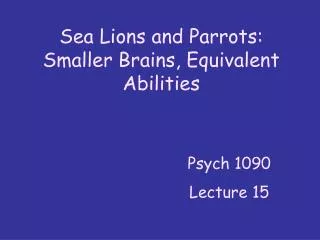 Sea Lions and Parrots: Smaller Brains, Equivalent Abilities