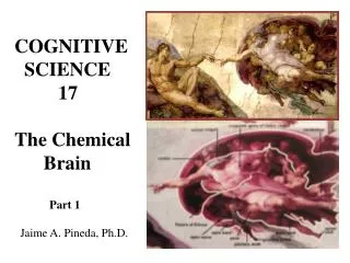 COGNITIVE SCIENCE 17 The Chemical Brain Part 1