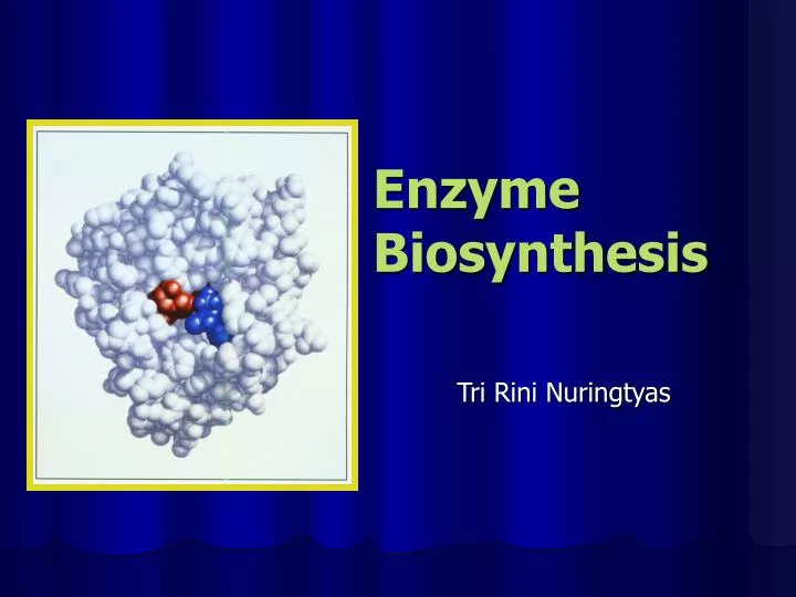 enzyme biosynthesis