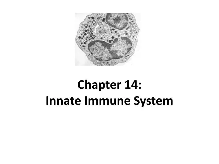 chapter 14 innate immune system