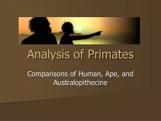 Analysis of Primates
