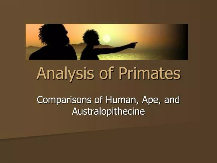 analysis of primates