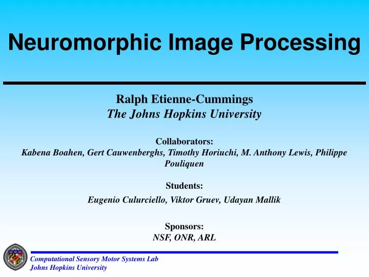 neuromorphic image processing