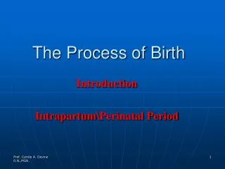 The Process of Birth