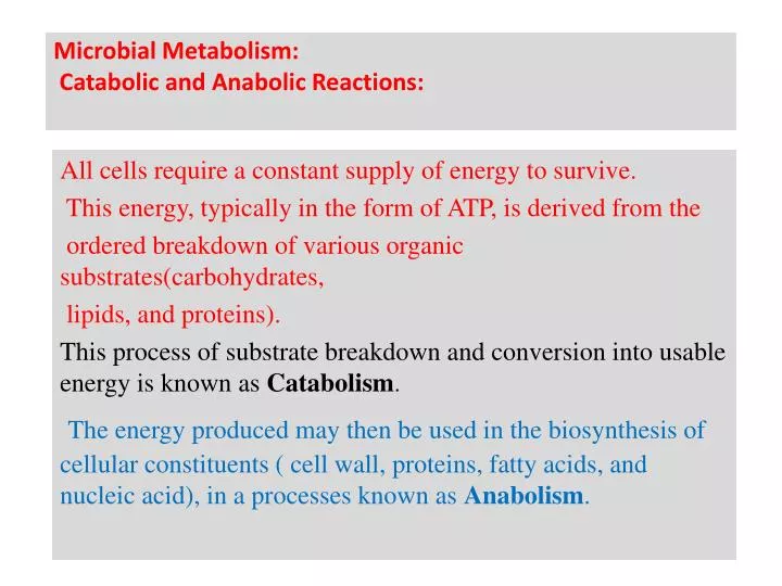 microbial metabolism catabolic and anabolic reactions